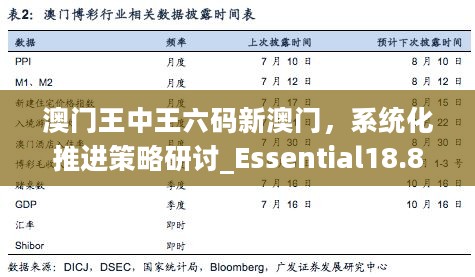 澳门王中王六码新澳门，系统化推进策略研讨_Essential18.892