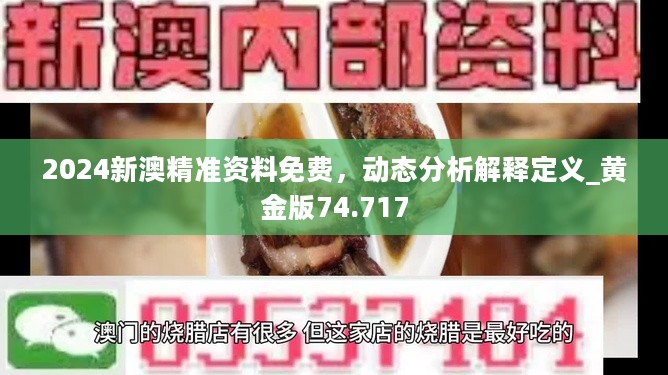 2024新澳精准资料免费，动态分析解释定义_黄金版74.717