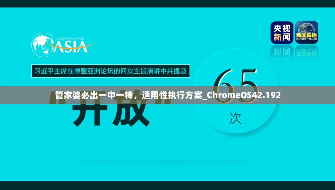 管家婆必出一中一特，适用性执行方案_ChromeOS42.192