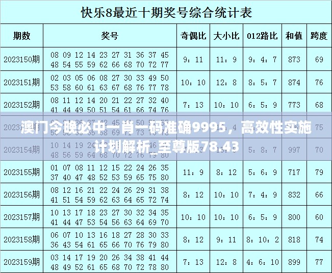 澳门今晚必中一肖一码准确9995，高效性实施计划解析_至尊版78.43