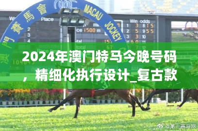 2024年澳门特马今晚号码，精细化执行设计_复古款63.490