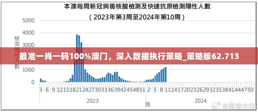 最准一肖一码100%澳门，深入数据执行策略_策略版62.713