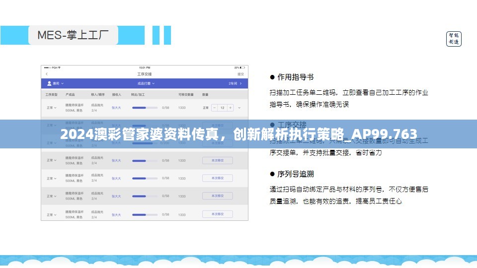 2024澳彩管家婆资料传真，创新解析执行策略_AP99.763
