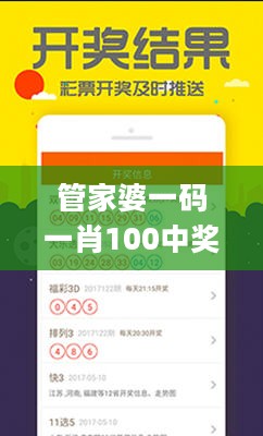 管家婆一码一肖100中奖，系统解答解释定义_NE版75.318