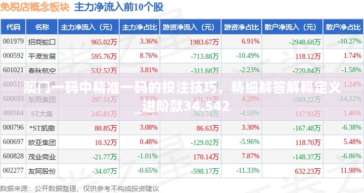 澳门一码中精准一码的投注技巧，精细解答解释定义_进阶款34.542