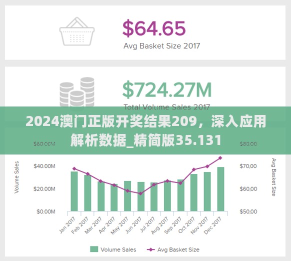 2024澳门正版开奖结果209，深入应用解析数据_精简版35.131