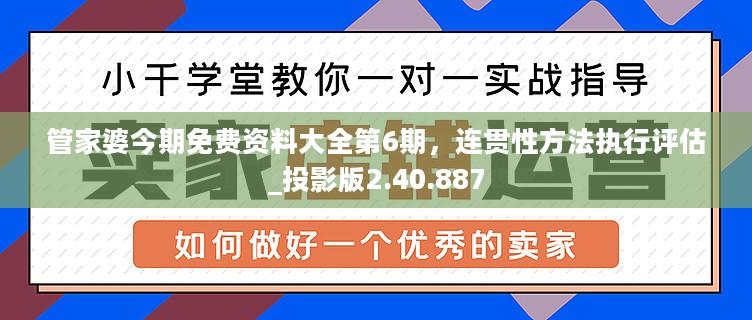 管家婆今期免费资料大全第6期，连贯性方法执行评估_投影版2.40.887