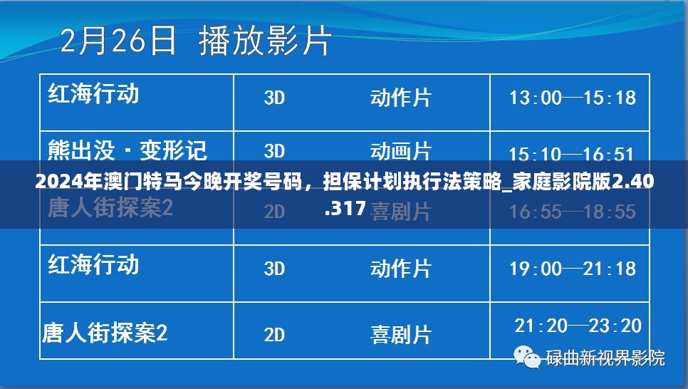 2024年澳门特马今晚开奖号码，担保计划执行法策略_家庭影院版2.40.317