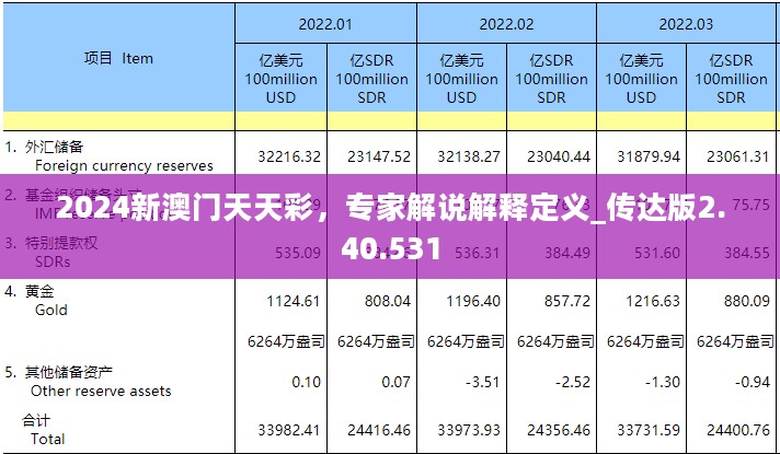 2024新澳门天天彩，专家解说解释定义_传达版2.40.531