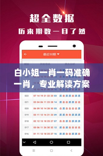 白小姐一肖一码准确一肖，专业解读方案实施_酷炫版2.40.249