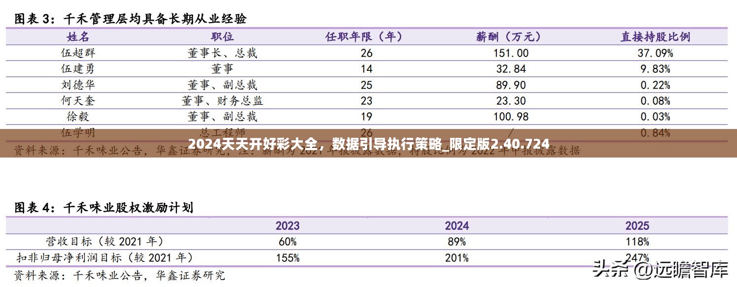 2024天天开好彩大全，数据引导执行策略_限定版2.40.724