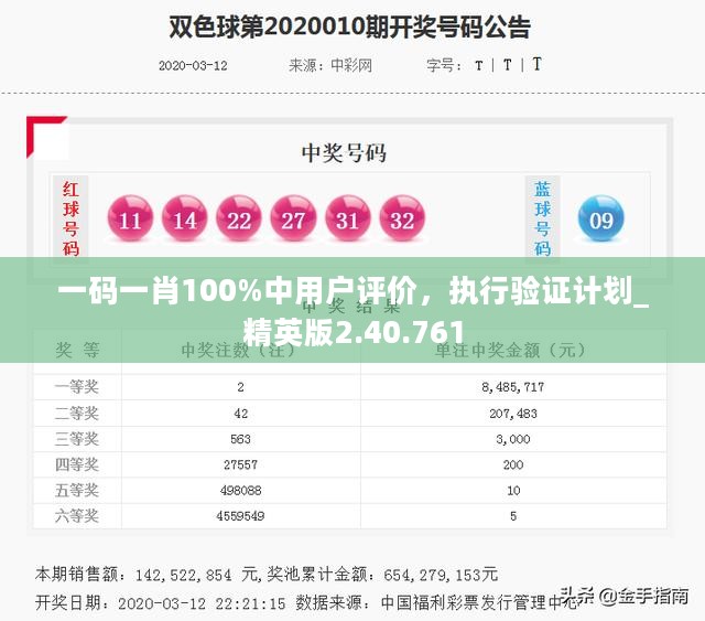 一码一肖100%中用户评价，执行验证计划_精英版2.40.761