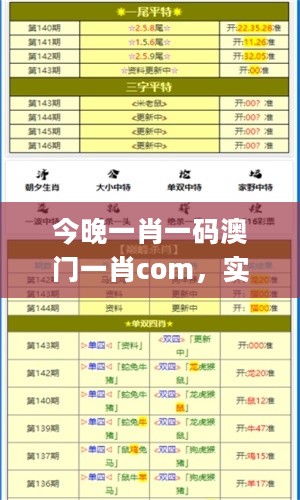 今晚一肖一码澳门一肖com，实践数据分析评估_影像处理版2.40.804