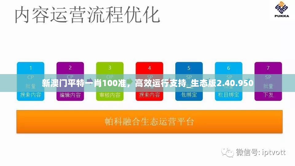 新澳门平特一肖100准，高效运行支持_生态版2.40.950