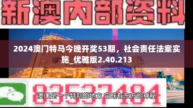 2024澳门特马今晚开奖53期，社会责任法案实施_优雅版2.40.213