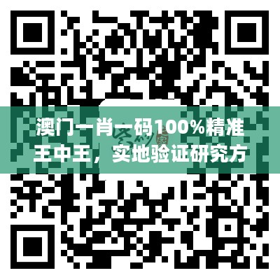 澳门一肖一码100%精准王中王，实地验证研究方案_多功能版2.40.954