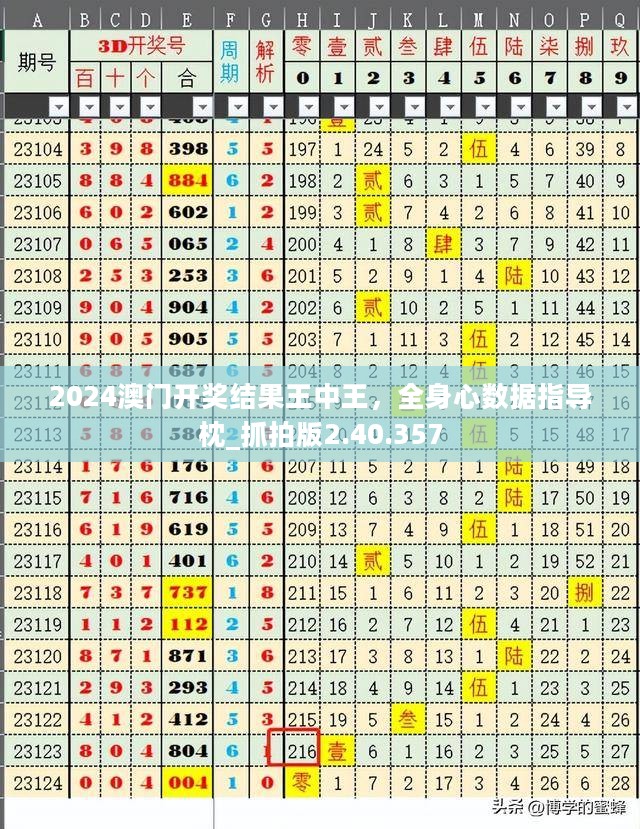 2024澳门开奖结果王中王，全身心数据指导枕_抓拍版2.40.357