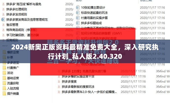 2024新奥正版资料最精准免费大全，深入研究执行计划_私人版2.40.320