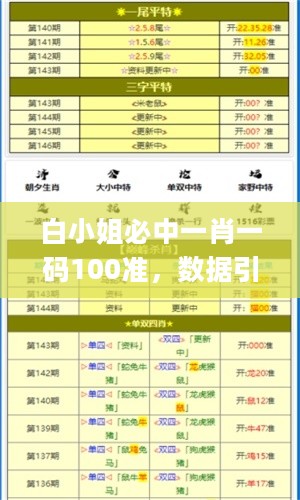 白小姐必中一肖一码100准，数据引导执行策略_视频版2.40.709