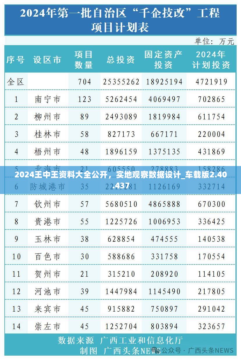 2024王中王资料大全公开，实地观察数据设计_车载版2.40.437