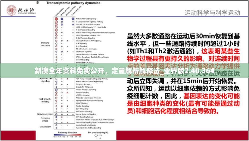 新澳全年资料免费公开，定量解析解释法_业界版2.40.364