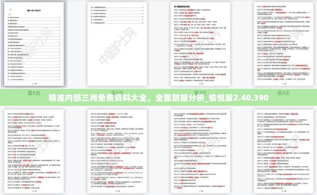 精准内部三肖免费资料大全，全面数据分析_愉悦版2.40.390