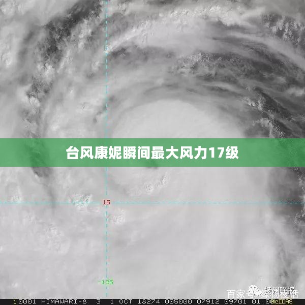 台风康妮瞬间最大风力17级