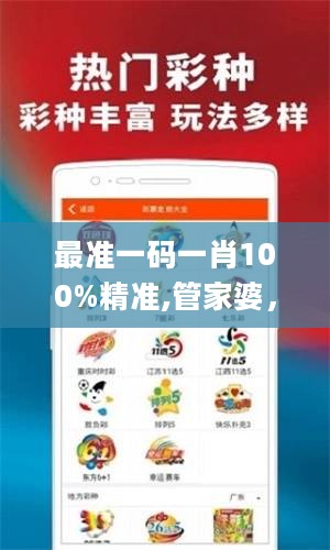 最准一码一肖100%精准,管家婆，快速解答计划设计_ios88.61.65