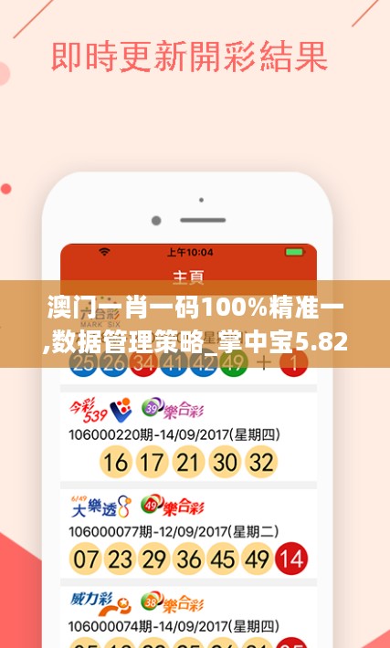 澳门一肖一码100%精准一,数据管理策略_掌中宝5.82.946