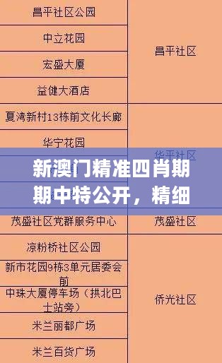 新澳门精准四肖期期中特公开，精细设计解析_V版94.74.7