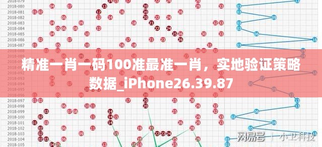 精准一肖一码100准最准一肖，实地验证策略数据_iPhone26.39.87