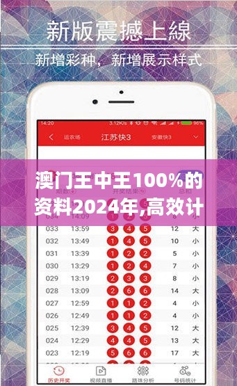 澳门王中王100%的资料2024年,高效计划实施_工具版5.82.622