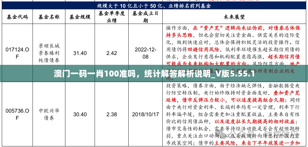 澳门一码一肖100准吗，统计解答解析说明_V版5.55.1