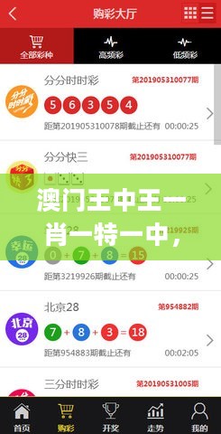 澳门王中王一肖一特一中，专业研究解析说明_WP51.98.61