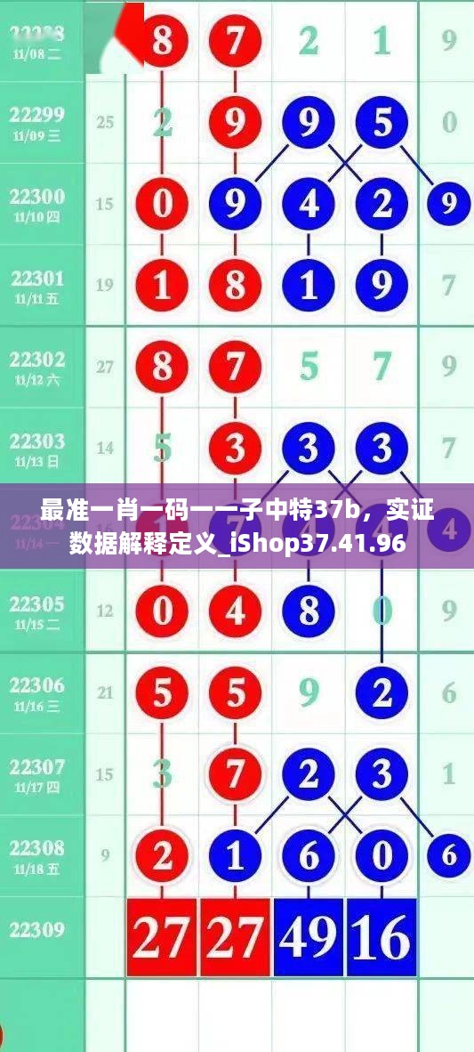 最准一肖一码一一子中特37b，实证数据解释定义_iShop37.41.96