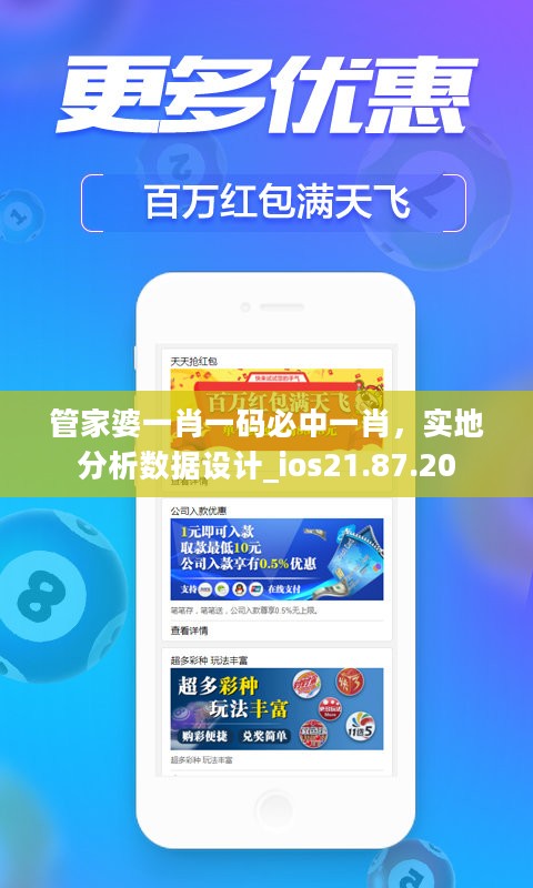 管家婆一肖一码必中一肖，实地分析数据设计_ios21.87.20