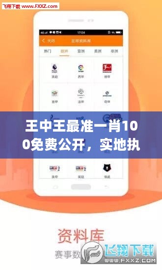 王中王最准一肖100免费公开，实地执行考察设计_网页版79.53.42