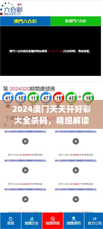 2024澳门天天开好彩大全杀码，精细解读解析_WP94.45.40