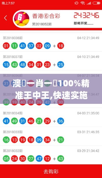 澳門一肖一碼100%精准王中王,快速实施解答研究_高端体验版5.82.403