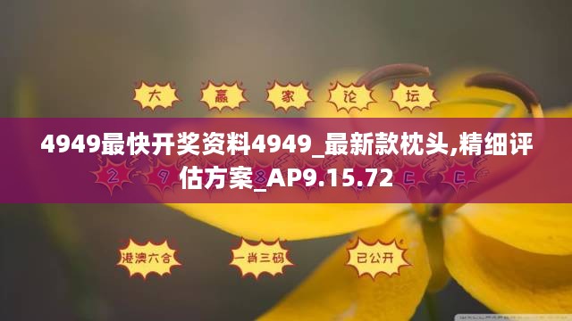 4949最快开奖资料4949_最新款枕头,精细评估方案_AP9.15.72