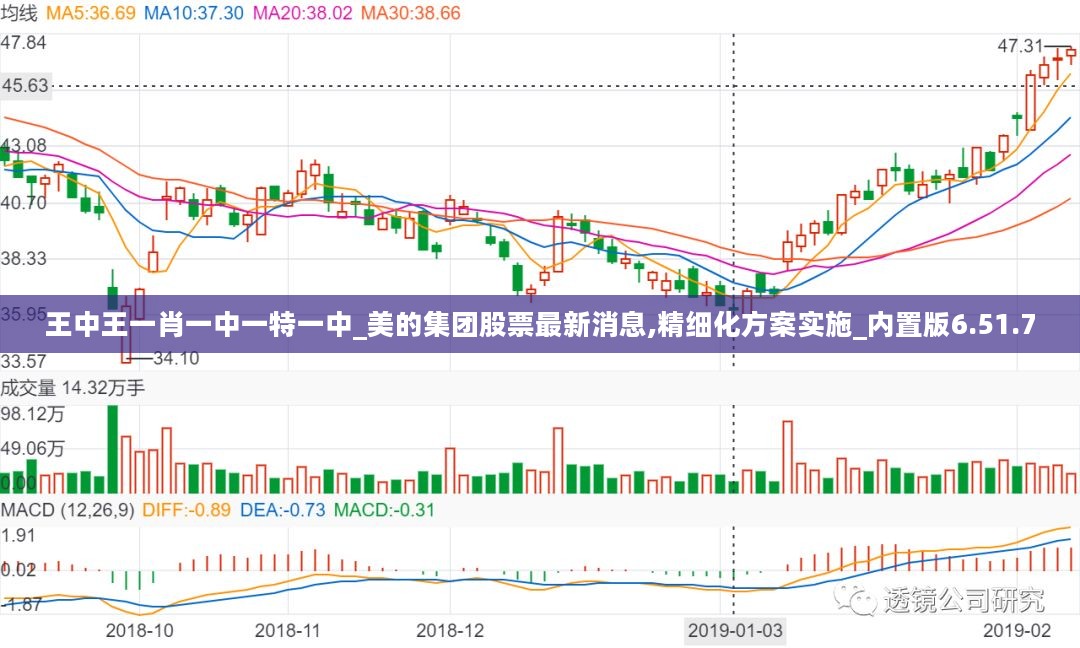 王中王一肖一中一特一中_美的集团股票最新消息,精细化方案实施_内置版6.51.70