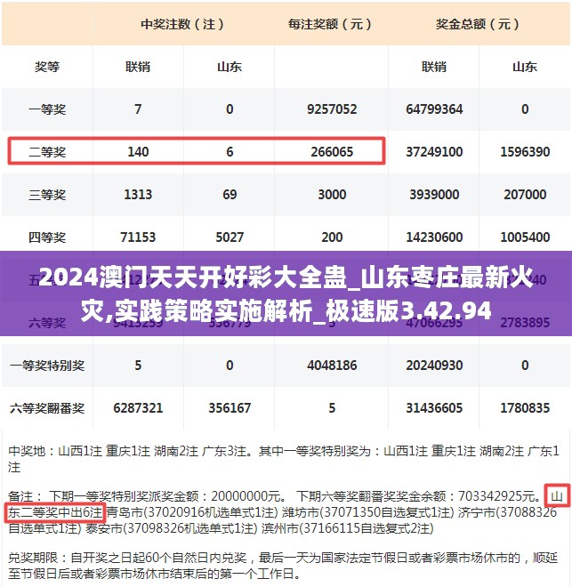 实践策略实施解析