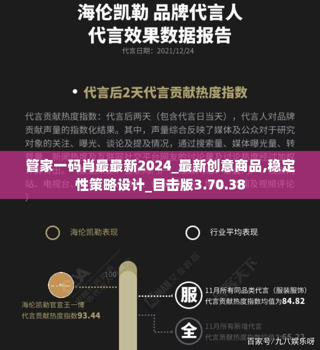 管家一码肖最最新2024_最新创意商品,稳定性策略设计_目击版3.70.38