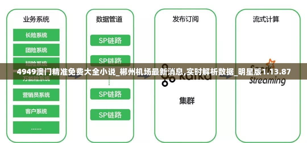 4949澳门精准免费大全小说_郴州机场最新消息,实时解析数据_明星版1.13.87