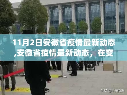 安徽省疫情最新动态，见证变革中的希望与坚韧（11月最新消息）