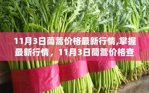 11月3日茼蒿价格行情解析，最新行情查询与解读步骤指南