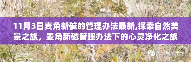 麦角新碱管理办法下的自然美景探索与心灵净化之旅