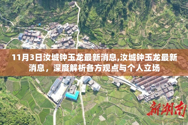 汝城钟玉龙最新消息深度解析，各方观点与个人立场探讨