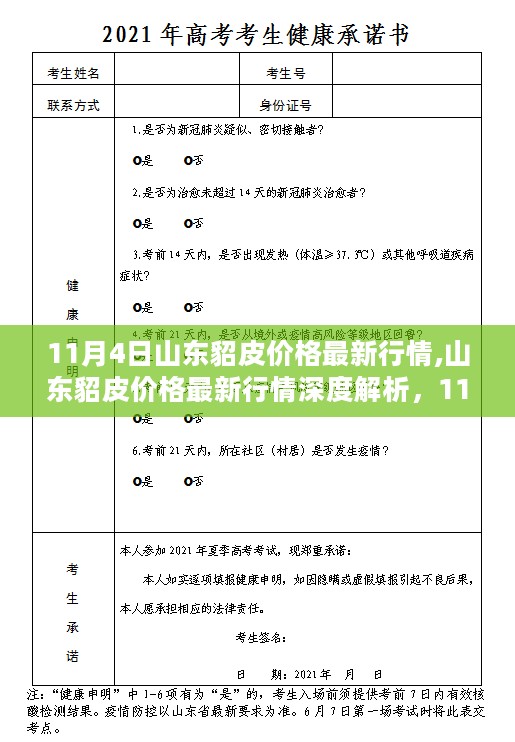 山东貂皮价格最新行情深度解析，行业观察与影响报告（11月4日）