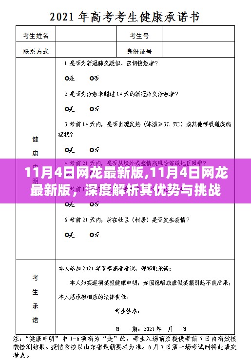 网龙最新版深度解析，优势与挑战展望（日期标注）